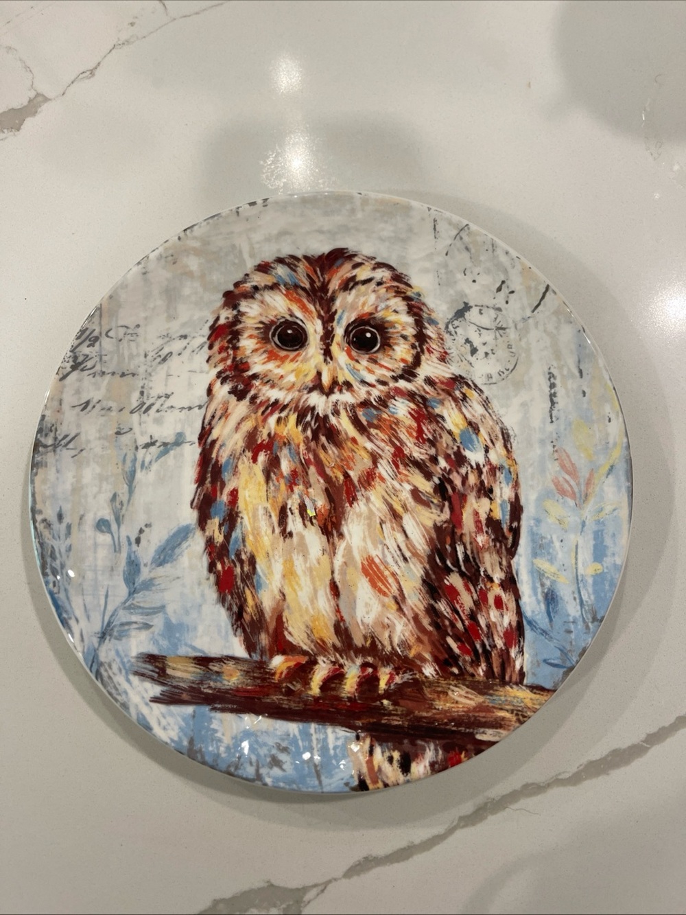 Pier 1 Multicolor Owl Decorative Wall Plate — Brown, Blue, Red, Cream